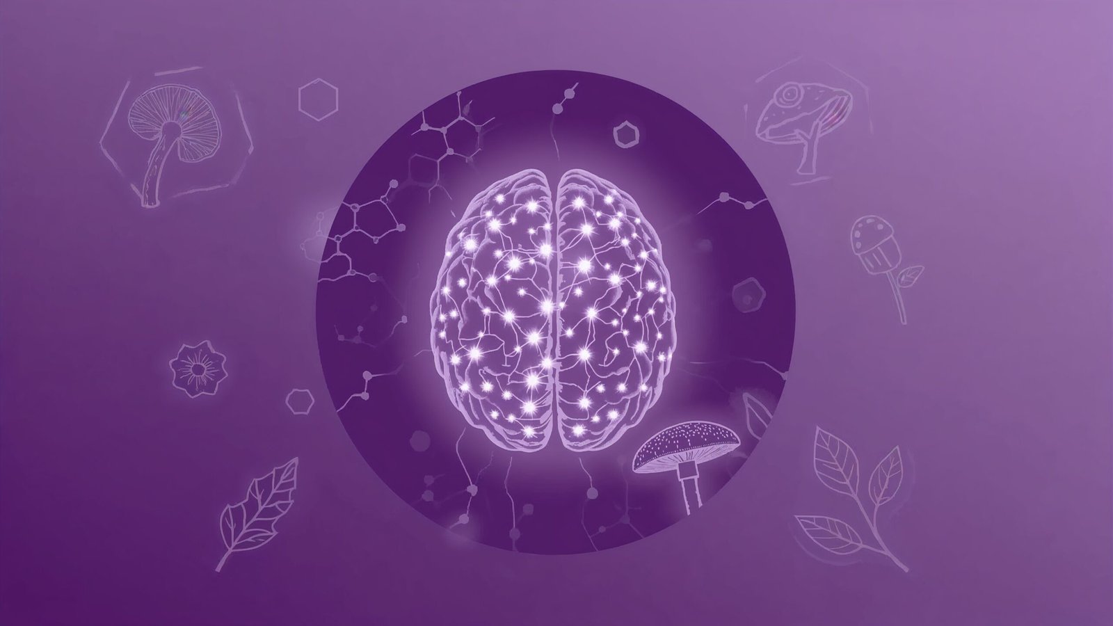 Core Neuro Health website