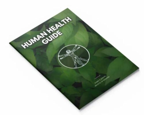 h1