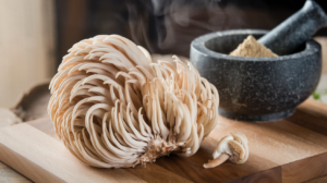 Lion's Main Mushroom