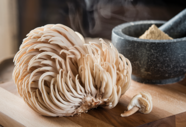 Lion's Main Mushroom