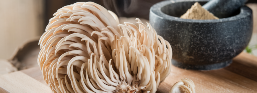 Lion's Main Mushroom